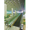 Memindahkan Walkway Sidewalk Penumpang Conveyor Travelator